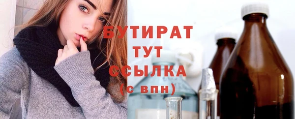 гидра Богданович