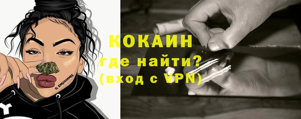 гидра Богданович
