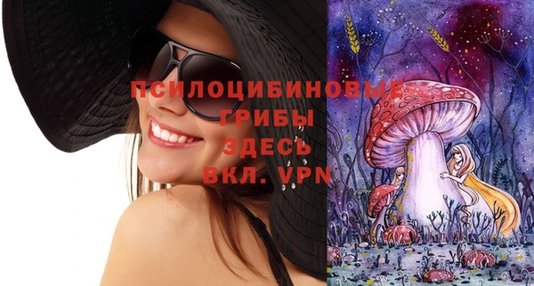 гидра Богданович