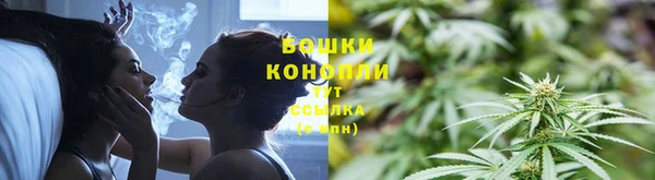 apvp Богородск
