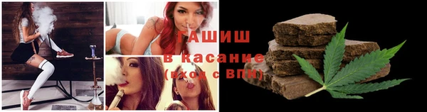 гидра Богданович