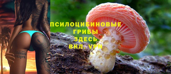 гидра Богданович