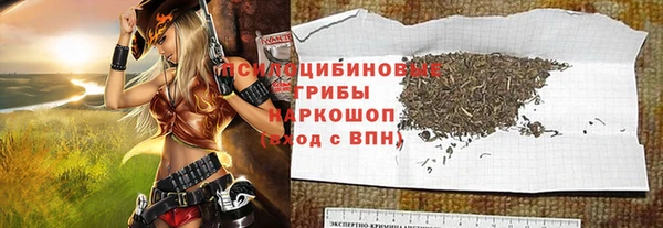 apvp Богородск