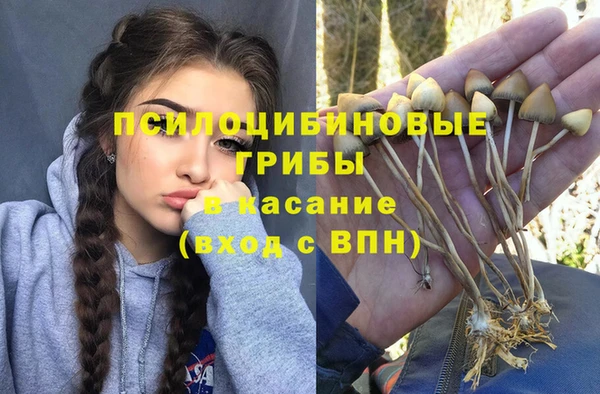 не бодяженный Белокуриха