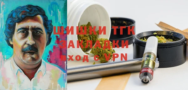 гидра Богданович